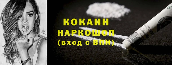индика Абинск