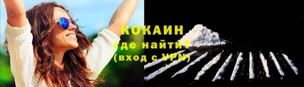индика Абинск