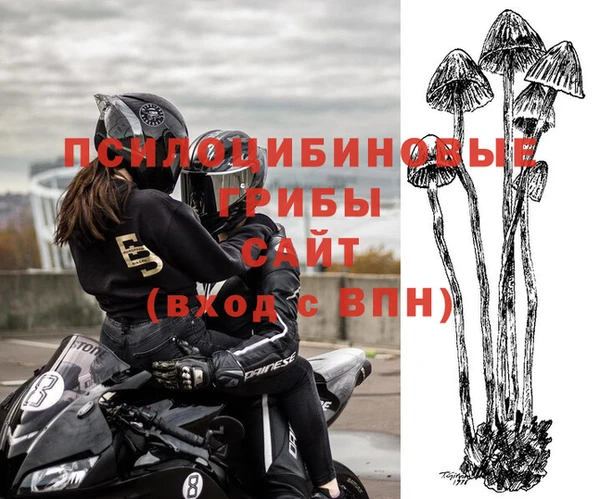 индика Абинск