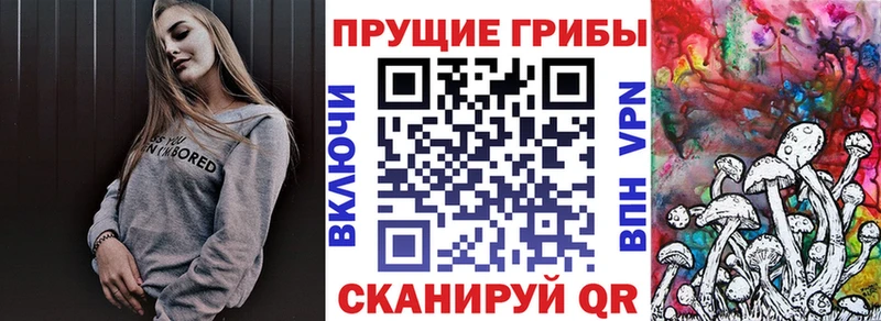 купить закладку  Суровикино  кракен сайт  Галлюциногенные грибы MAGIC MUSHROOMS 
