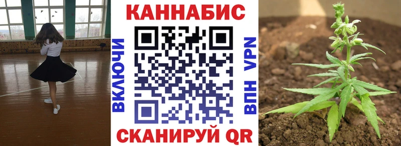 Бошки марихуана Amnesia Суровикино